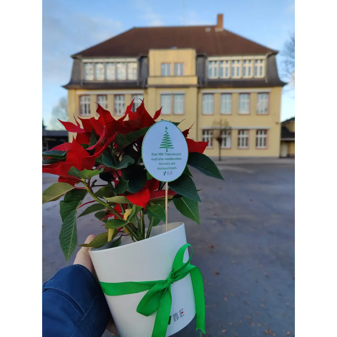 Adventsgruß an Gelsenkirchener Schulen